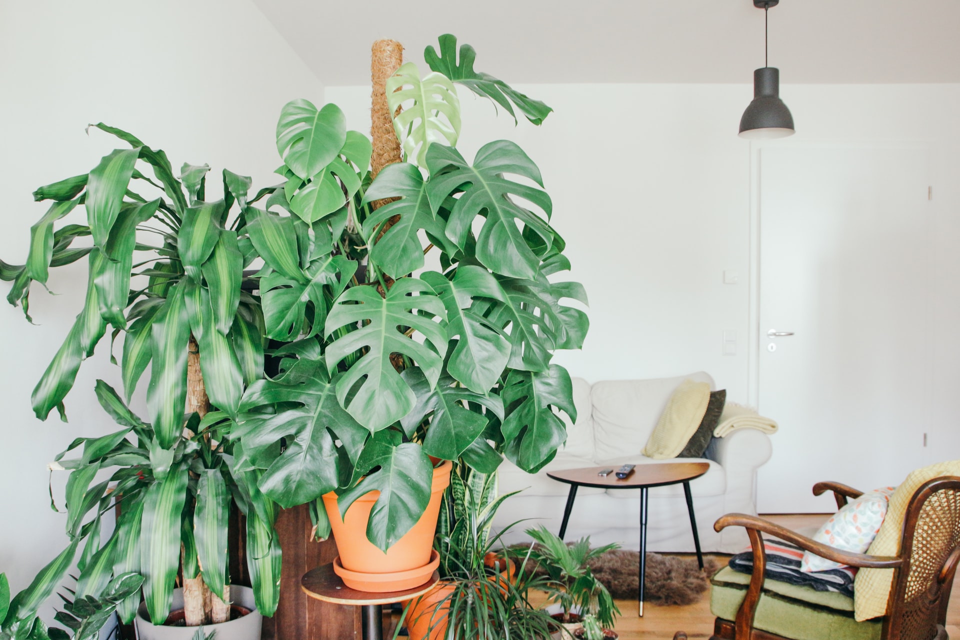 5 tips om je woonkamer in te richten met een klein budget